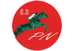 Logo-PN