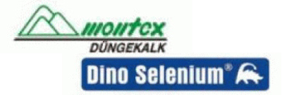 Montex GmbH